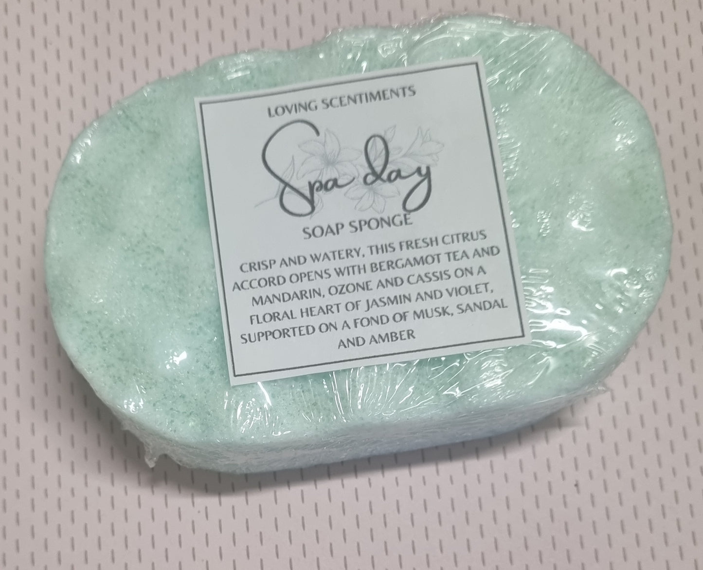 Exfoliating soap filled sponge