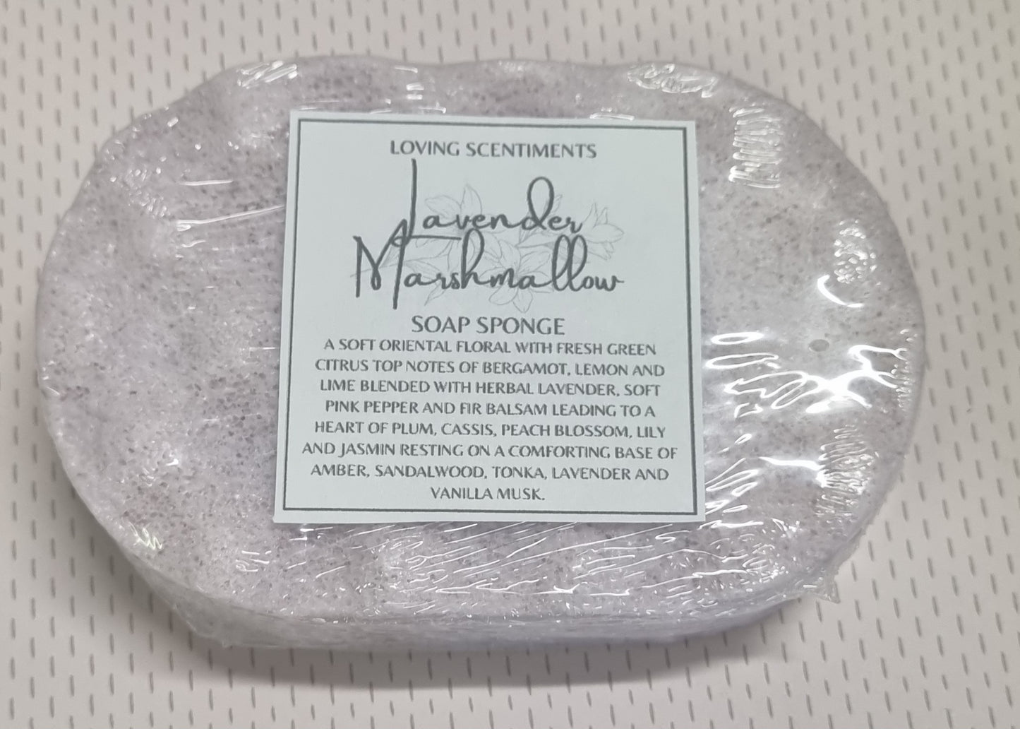 Exfoliating soap filled sponge