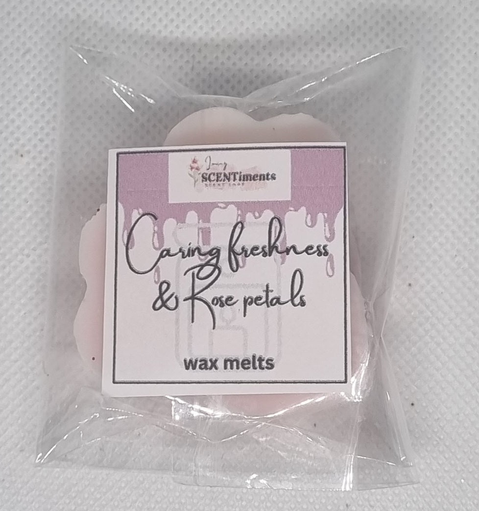 Mini wax melts