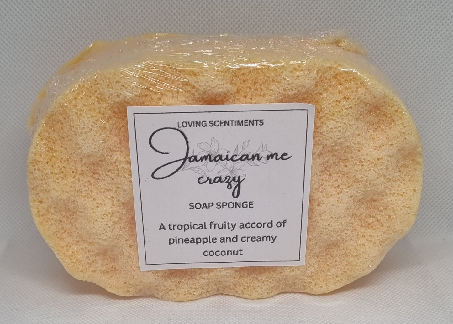 Exfoliating soap filled sponge