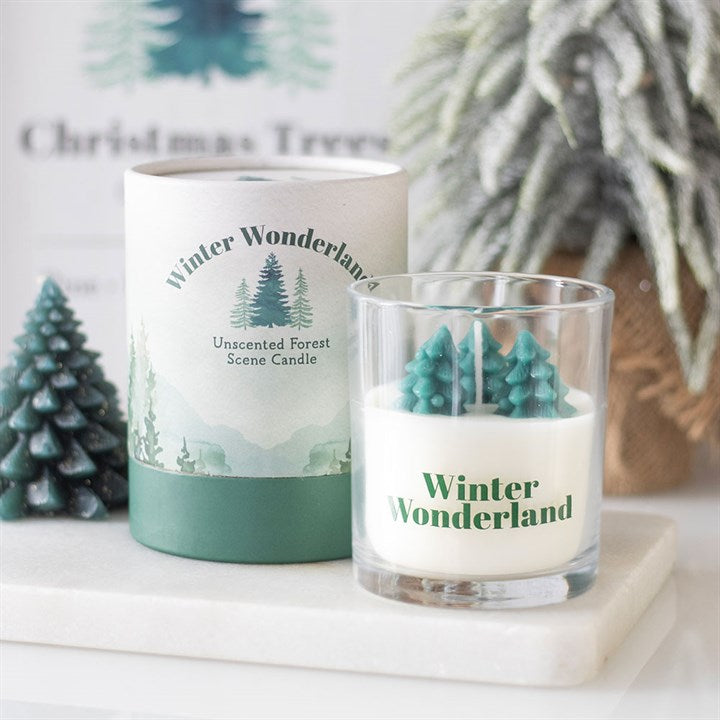 Christmas Candles and Tealight holders