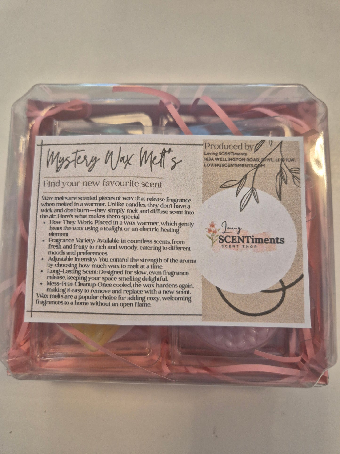 Box of 10 mystery wax melt testers